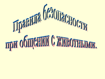 Памятка о порядке действий при обнаружении безнадзорных животных